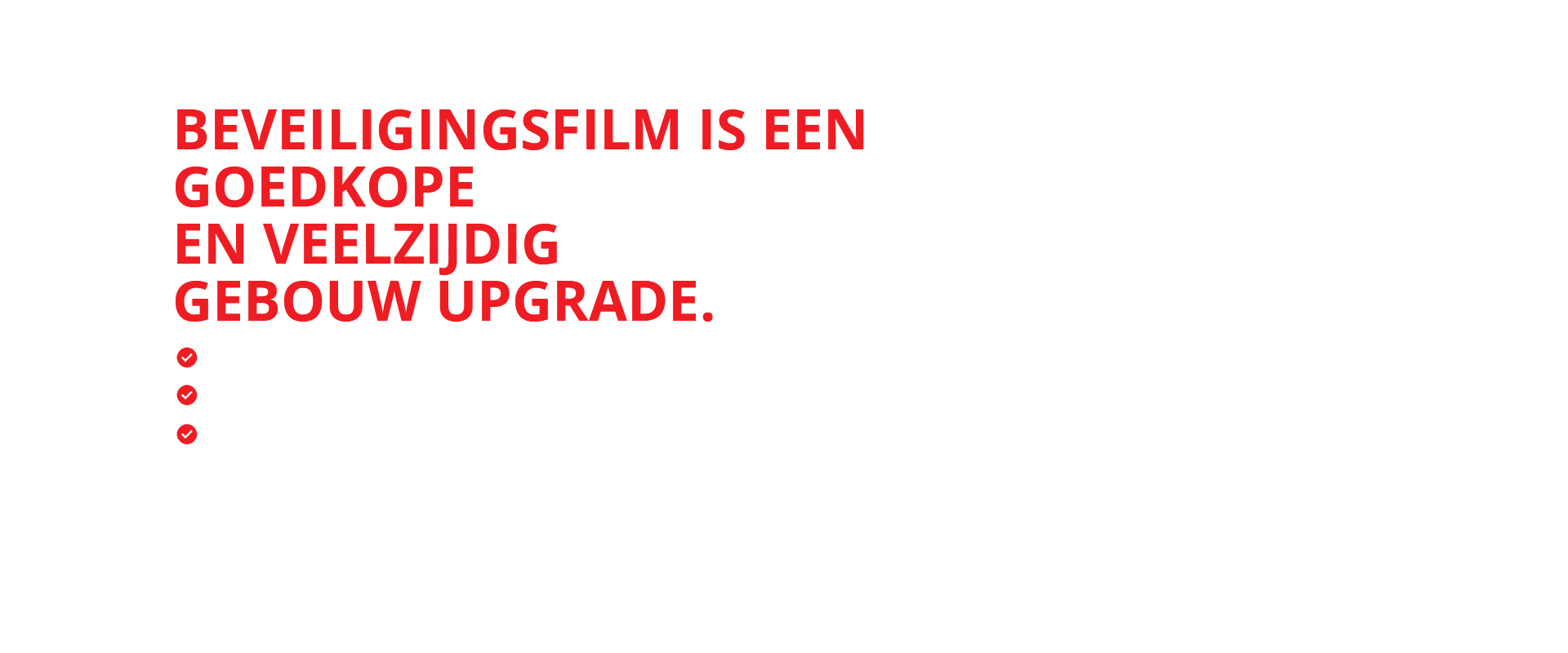 荷兰3